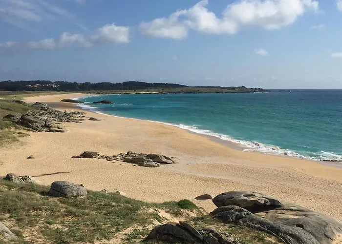 Carola L, De Lujo A 100m Playa Catia Apartamento *